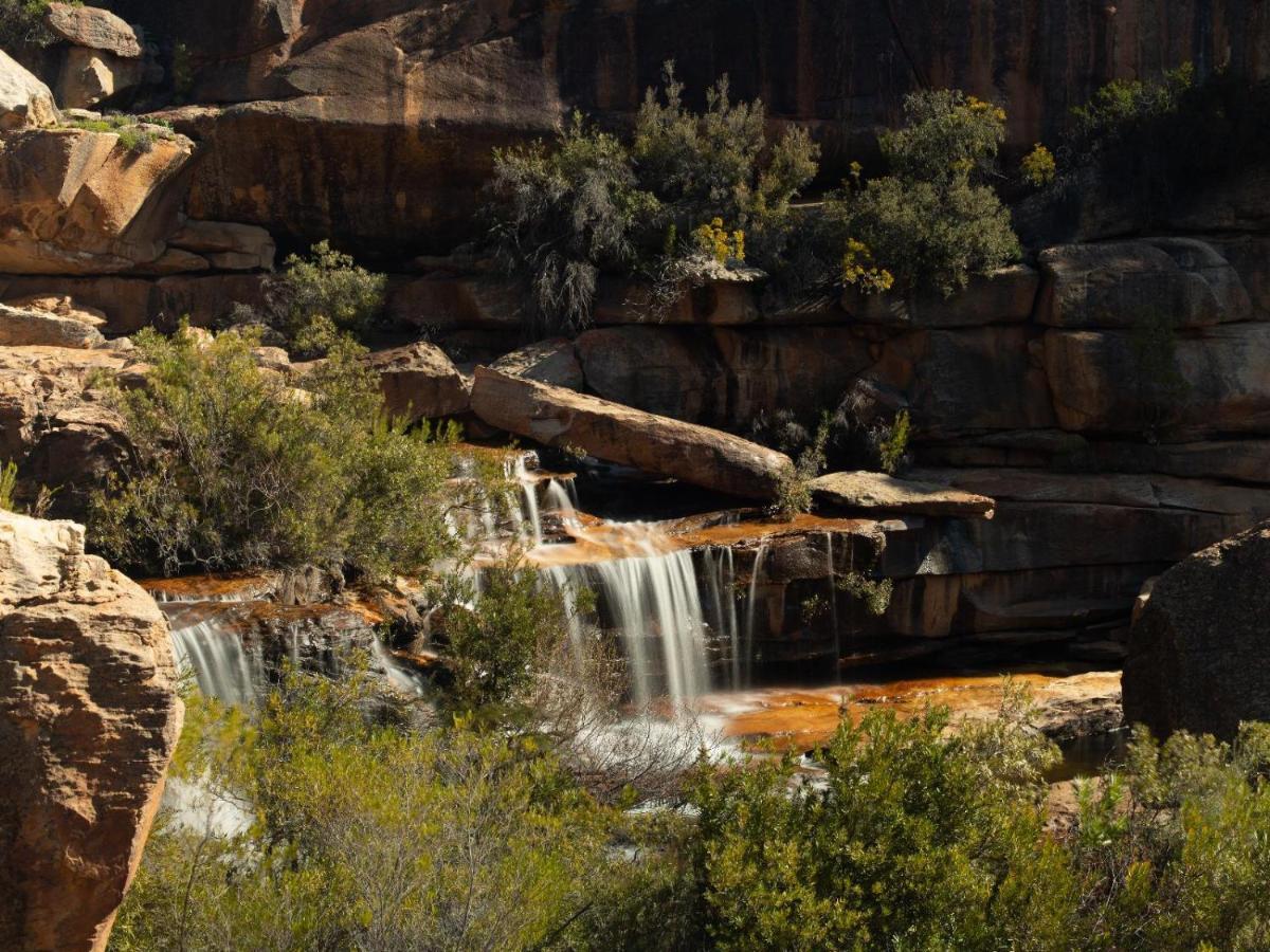 Alpha Excelsior Guest Farm Villa Clanwilliam Luaran gambar