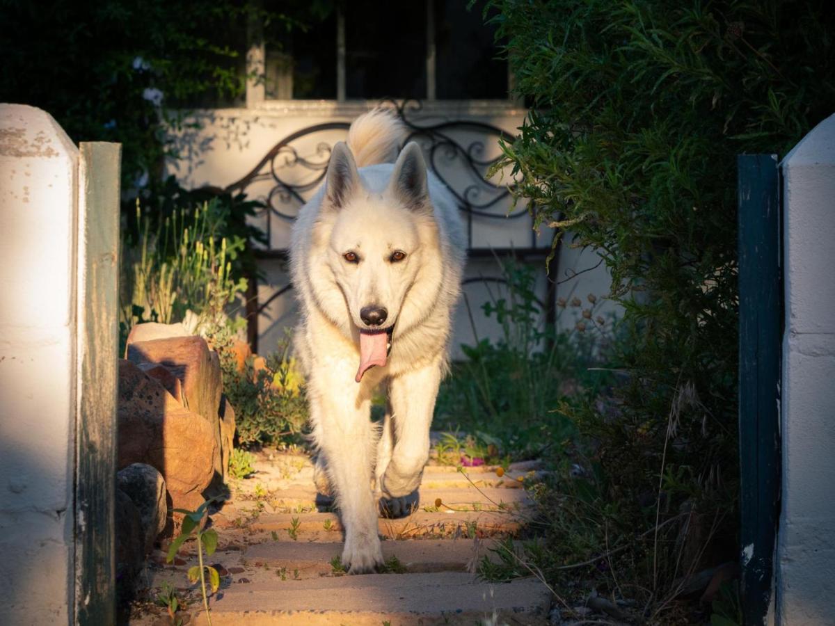 Alpha Excelsior Guest Farm Villa Clanwilliam Luaran gambar