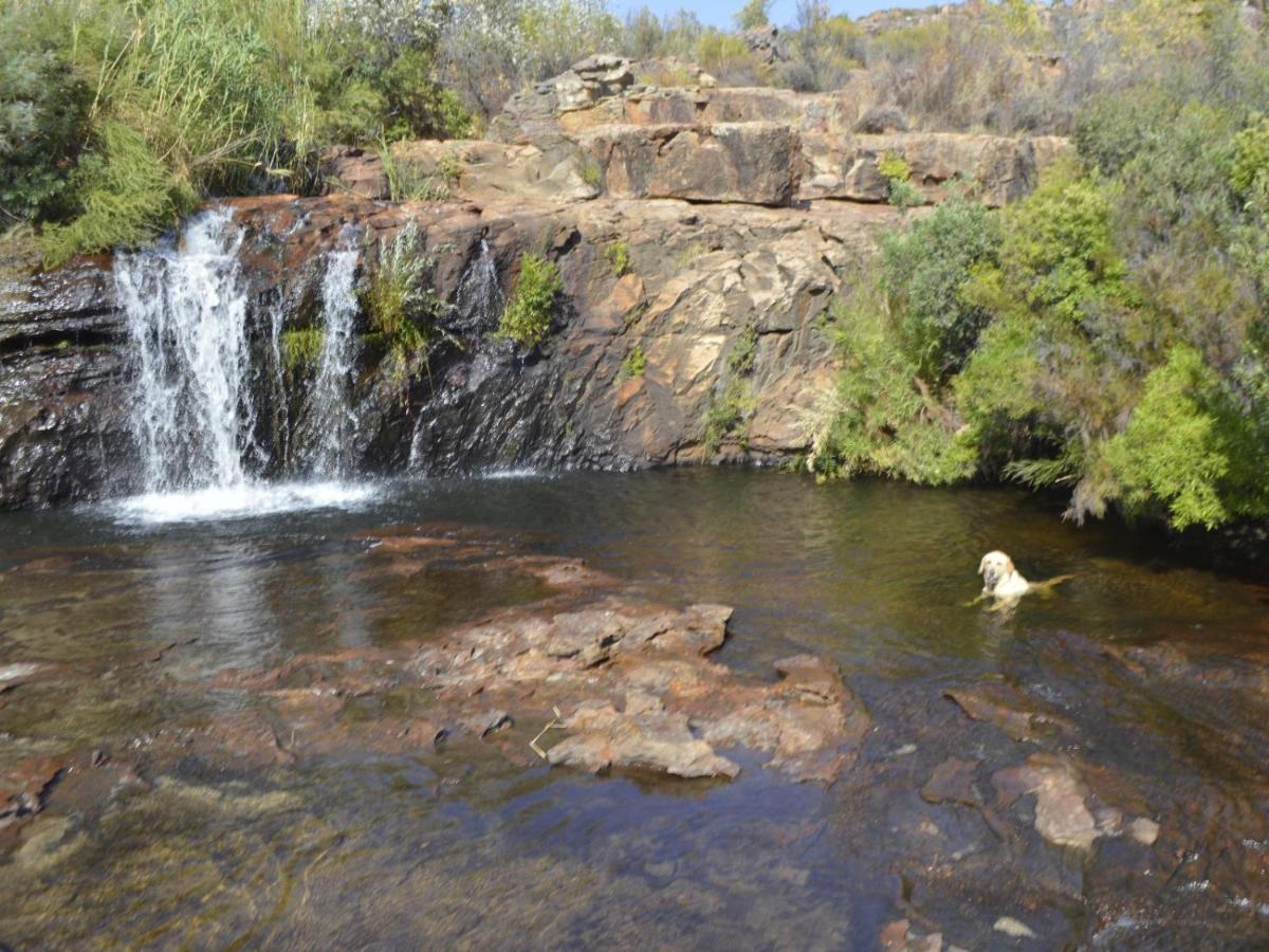 Alpha Excelsior Guest Farm Villa Clanwilliam Luaran gambar