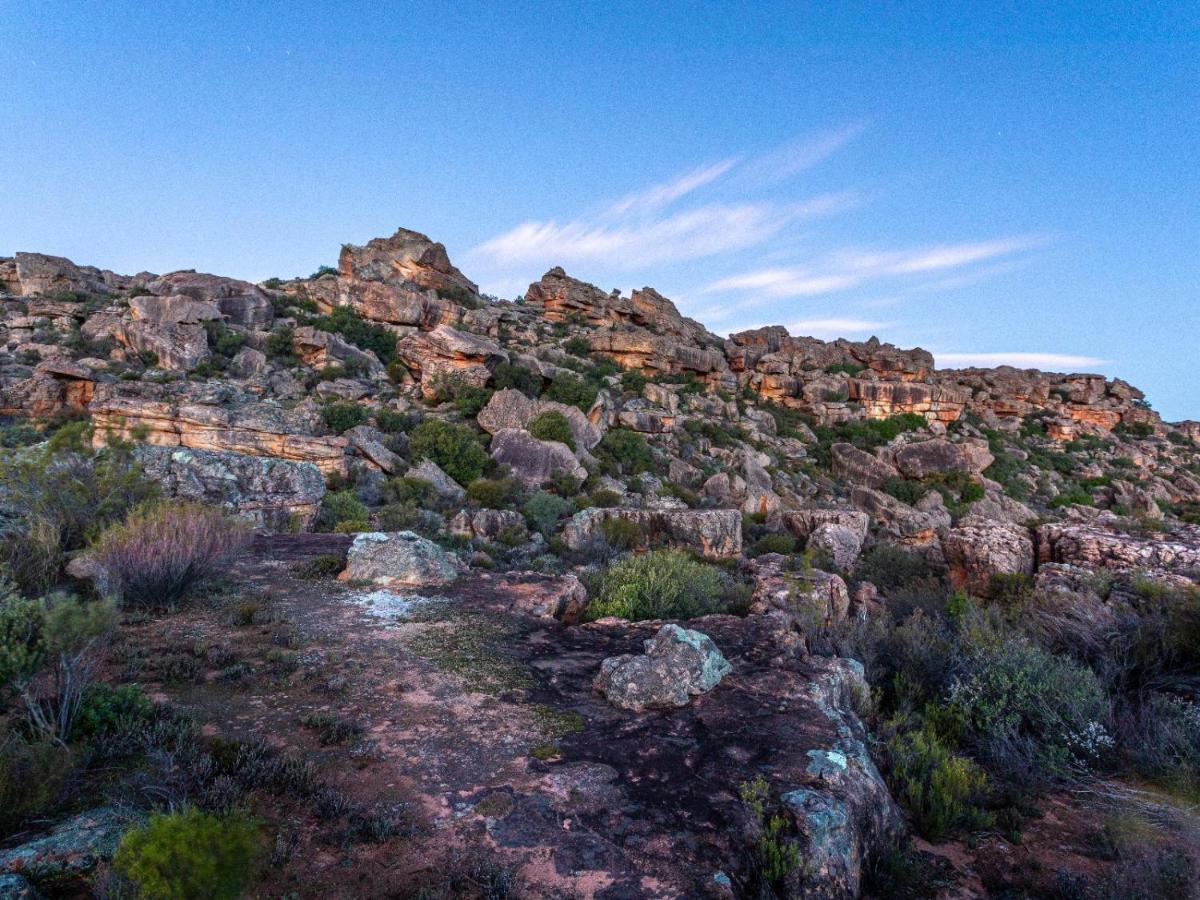Alpha Excelsior Guest Farm Villa Clanwilliam Luaran gambar