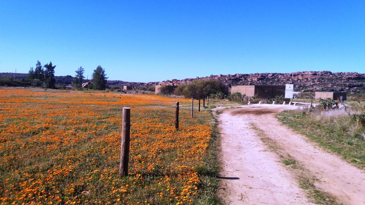Alpha Excelsior Guest Farm Villa Clanwilliam Luaran gambar