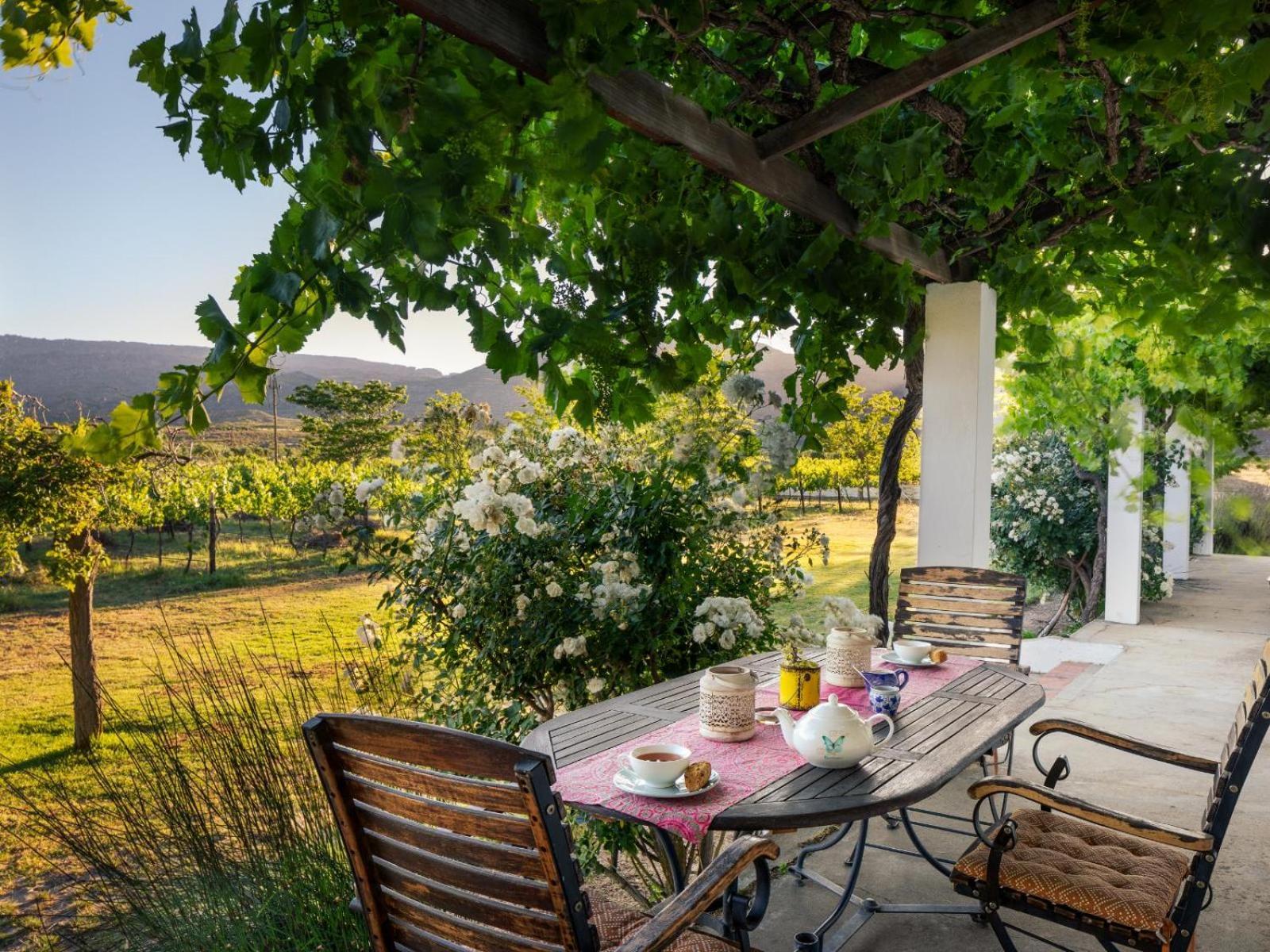 Alpha Excelsior Guest Farm Villa Clanwilliam Bilik gambar